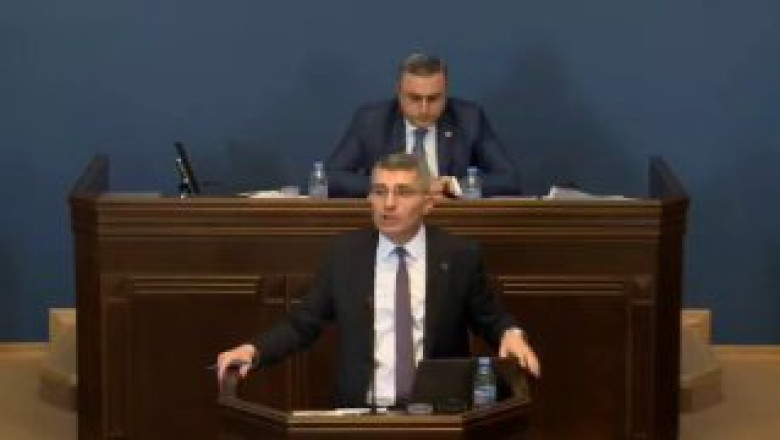 Грузинские депутаты подрались на рассмотрении законопроекта об иноагентах: ВИДЕО