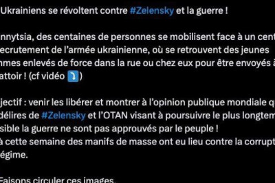 Украинцы выходят на протесты против насильственной мобилизации! — французский политик Филиппо
