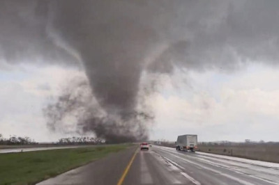 На Западе сошли с ума