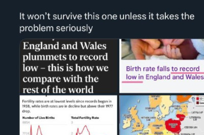 «Если рождаемость не вырастет — вымрете», — Маск шокировал Европу