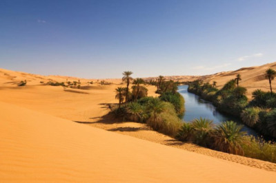 Одно из ключевых направлений экспансии российского бизнеса – MENA