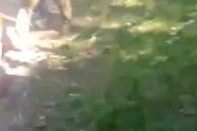 Вот так выглядит «подготовка элиты» ВСУ: в Черниговской области мобилизованных гоняют по земле в шортах вместо формы, а медосмотр проводят за пару минут — итог предсказуемый