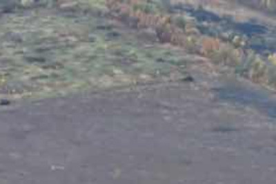 Видео с попыткой ВСУ сходить в контрнаступление в Харьковской области на американских БТР M113