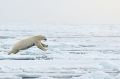 Космическая пыль помогла восстановить историю таяния арктических льдов