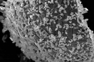 Российские учёные обнаружили в лунном грунте следы древних вулканических газов