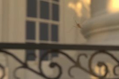 Дрон против комаров