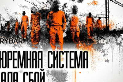 Кто куда, а преступники — на свободу