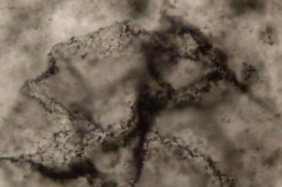 ИИ помог найти следы жизни на Земле старше 3,3 млрд лет