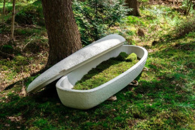 В Голландии разработали первый в мире биоразлагаемый гроб из грибов