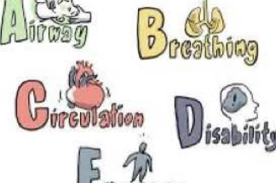 Еженедельная авторская колонка;