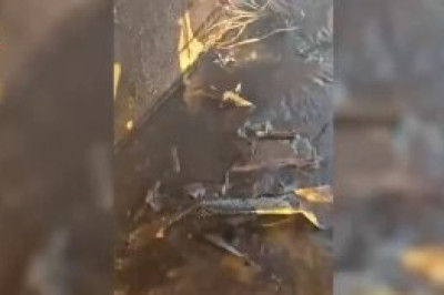 Кучно пошло