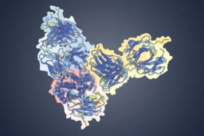 ИИ нашел слабое место обезьяньей оспы