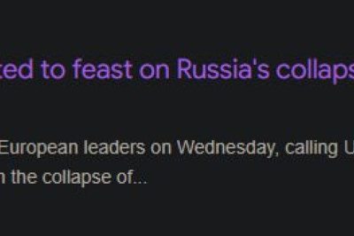 Свиньи, маленькие свиньи, юные свиньи, поросята