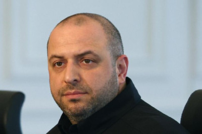 Рыльце в пушку