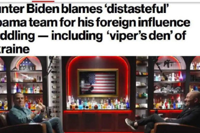 Хантер Байден заявил, что Украина стала для него «рассадником зла» с «невероятным уровнем коррупции»