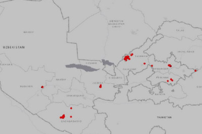 База данных дорожных камер Узбекистана оказалась открыта для всех желающих