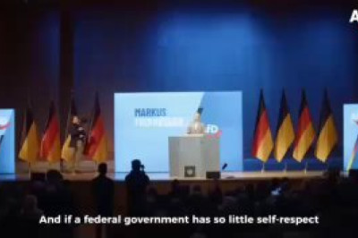 «Альтернатива для Германии» заявила, что в случае победы на выборах потребует с Украины 70 млрд евро, переданные ей Берлином в виде вооружения