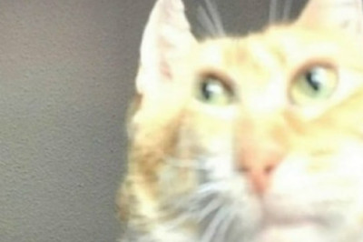 Закрытие Ормузского пролива застало США врасплох, сообщает CNN